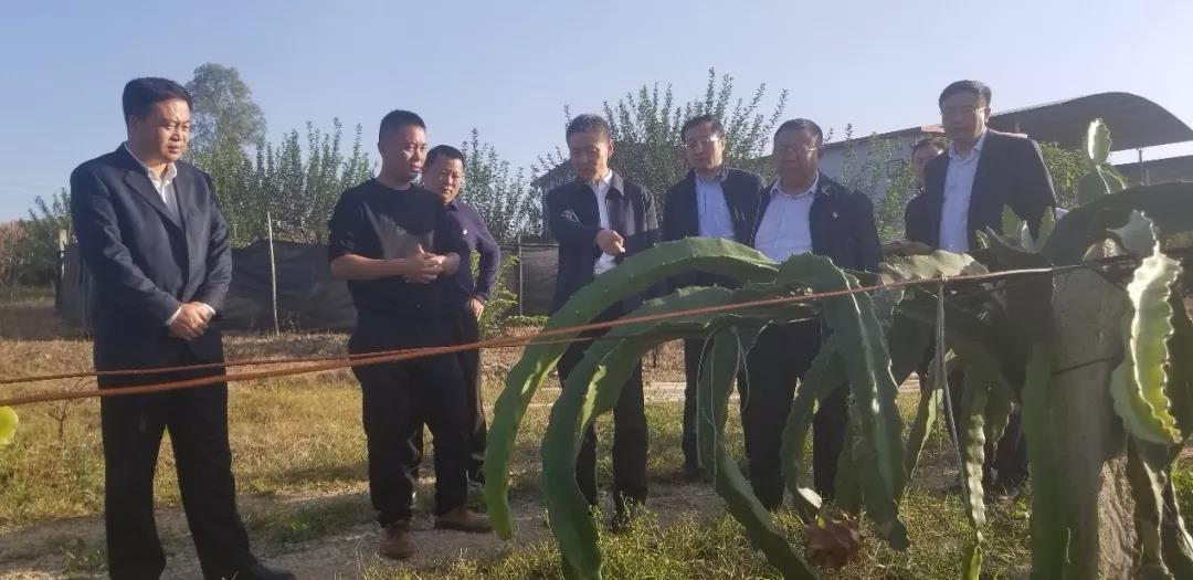 必赢亚洲·bwin(中国区)官方网站